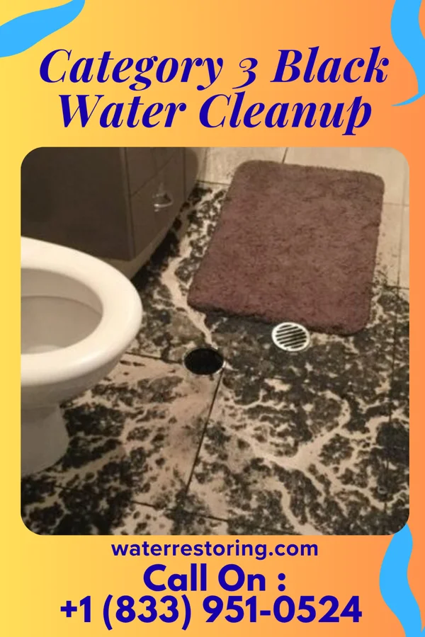 Category 3 Black Water Cleanup in Rockvale, MT