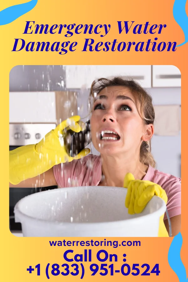Emergency Water Damage Restoration in Rockvale, MT