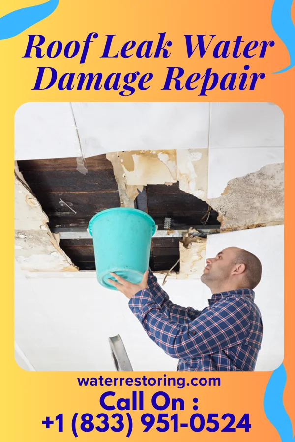 Roof Leak Water Damage Repair in Rockvale, MT