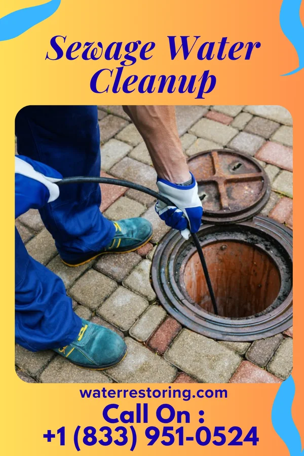 Sewage Water Cleanup in Rockvale, MT